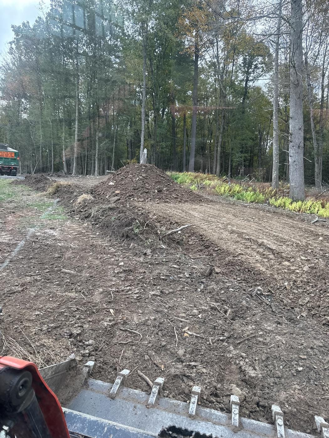 Fresh-cut ground at the edge of the woods, seen over the loader bucket.